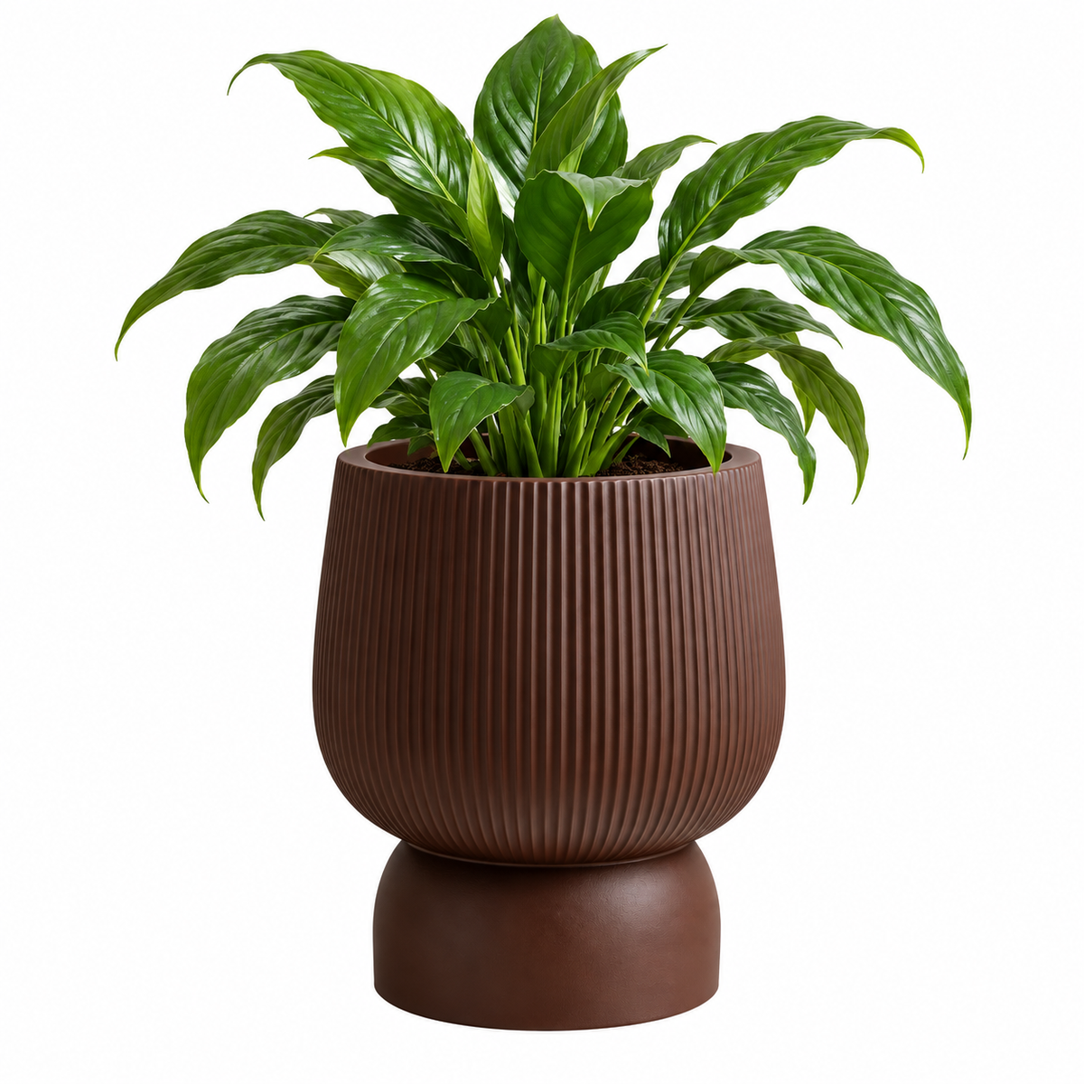 Lavelle Fluted Pedestal Plant Pot Caelvorne