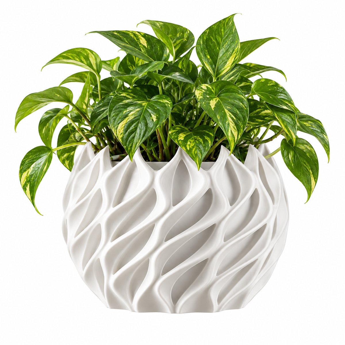 Auriva Sculptural Wave Plant Pot Caelvorne