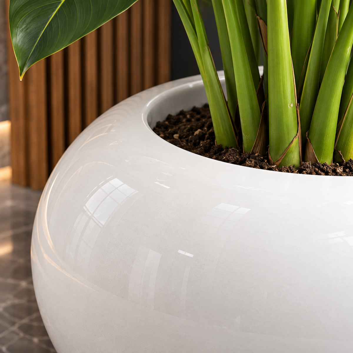 Jovira Magnesium Bowl Plant Pot Caelvorne