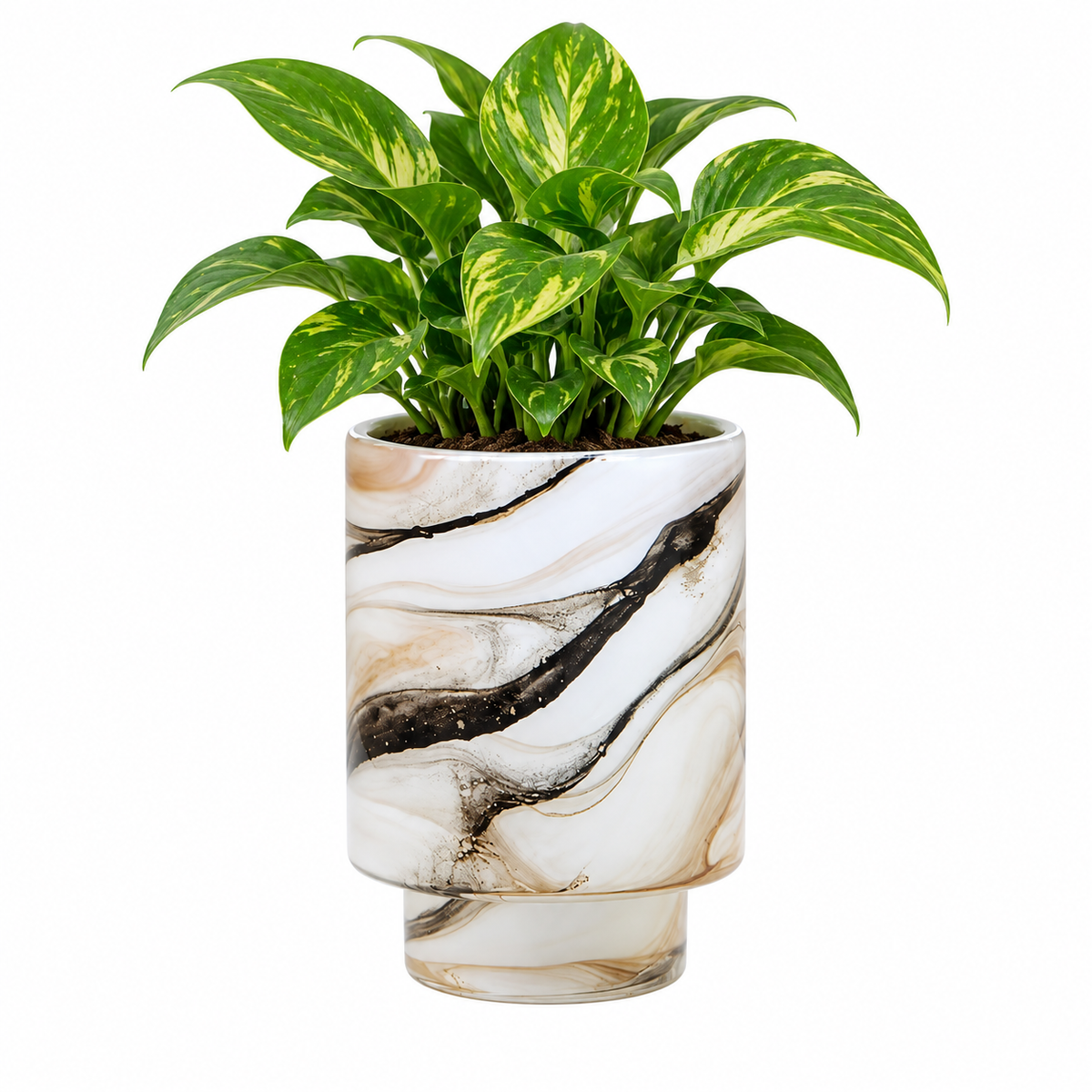 Velora Marbled Glass Plant Pot Caelvorne