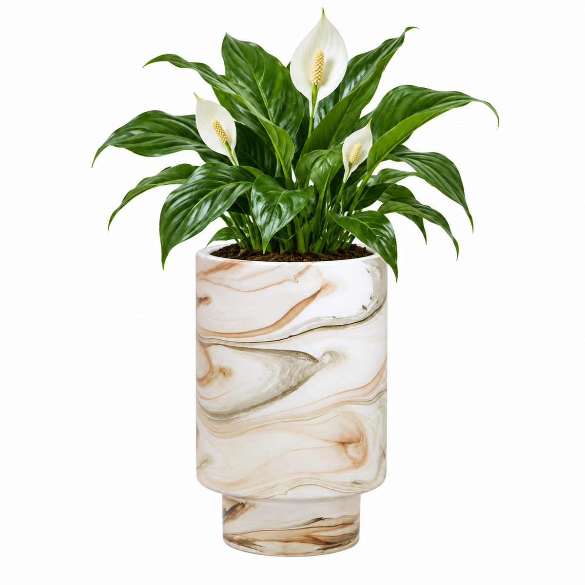 Velora Marbled Glass Plant Pot Caelvorne