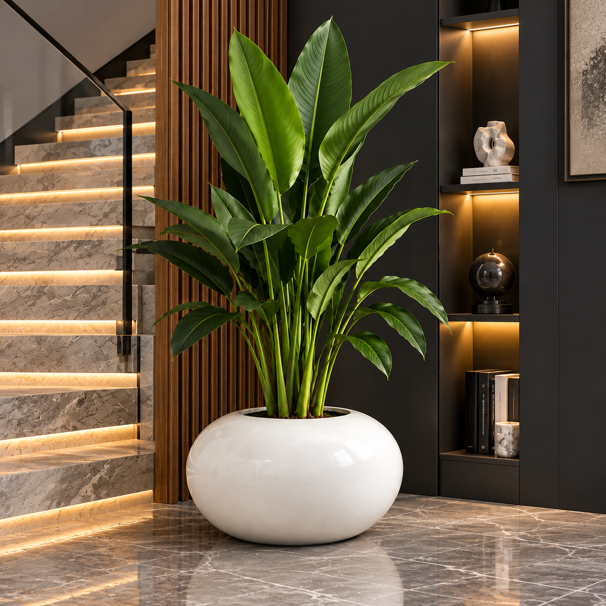 Jovira Magnesium Bowl Plant Pot Caelvorne