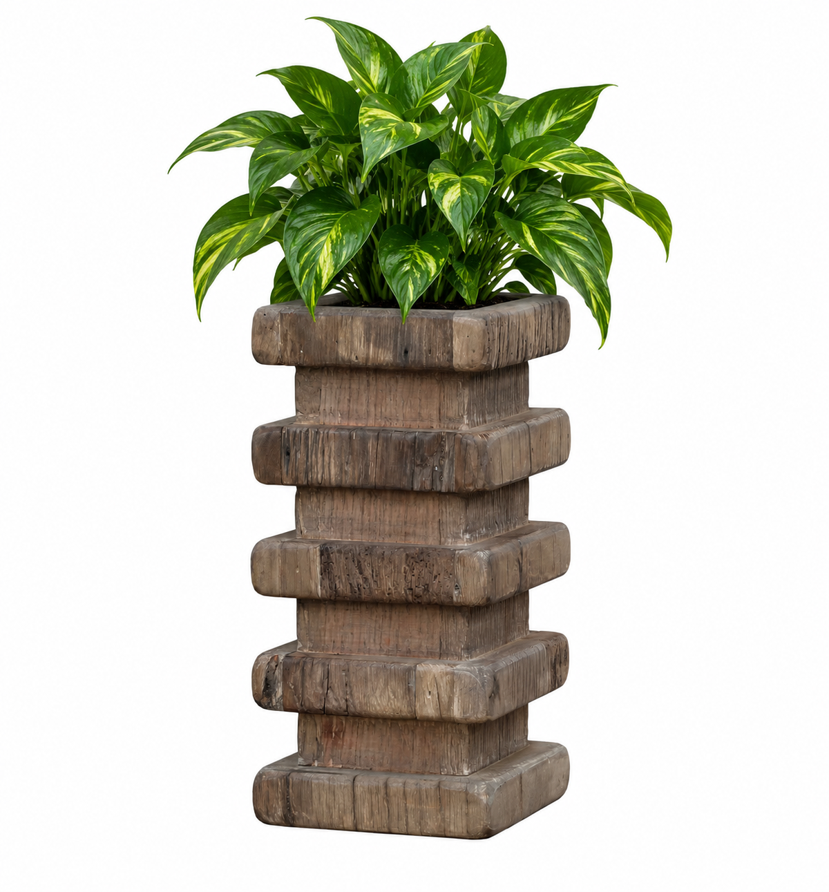 Orvane Textured Column Plant Pot Caelvorne