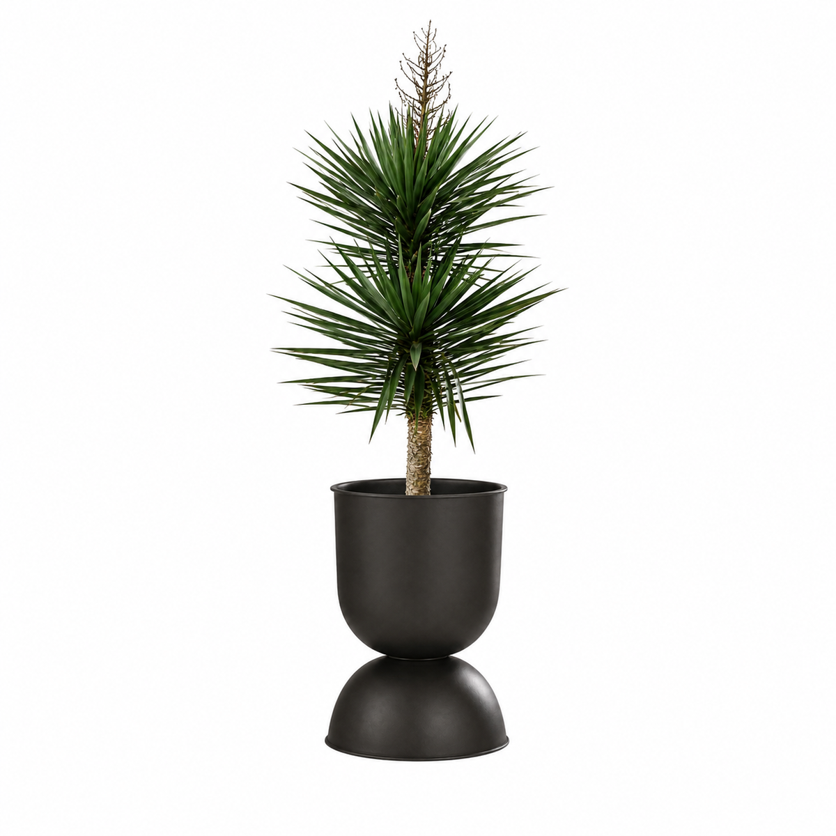 Pedova Modern Hourglass Plant Pot Caelvorne