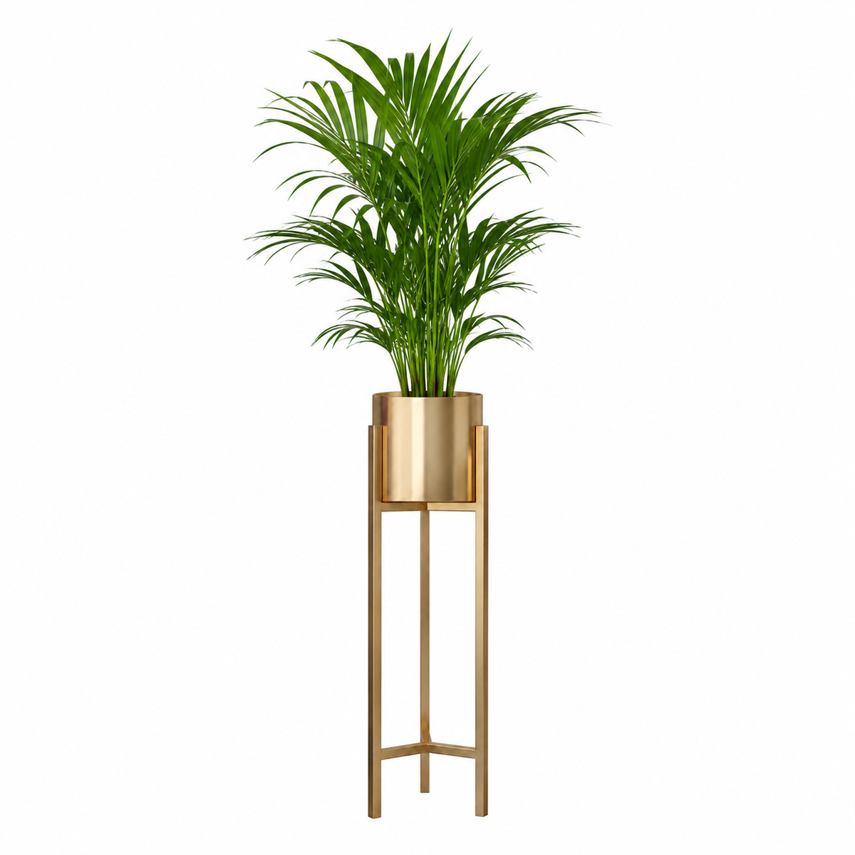 Zilera Tall Standing Pedestal Plant Pot Caelvorne