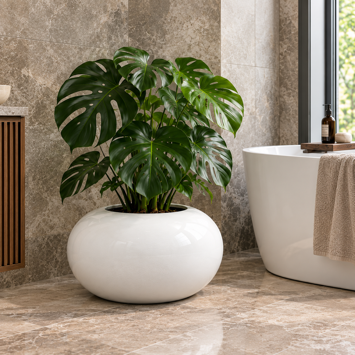 Jovira Magnesium Bowl Plant Pot Caelvorne