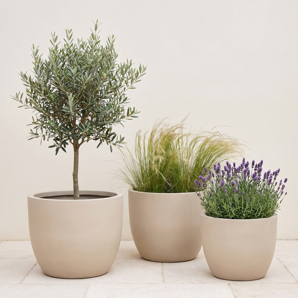 Ardenne Cement Egg Planter Caelvorne