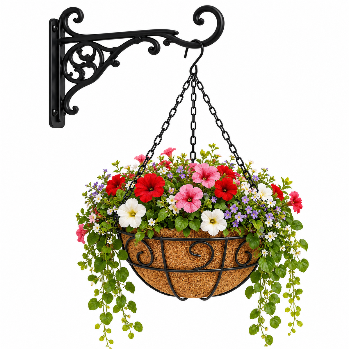 Elverne Metal Hanging Basket with Coir Liner Caelvorne