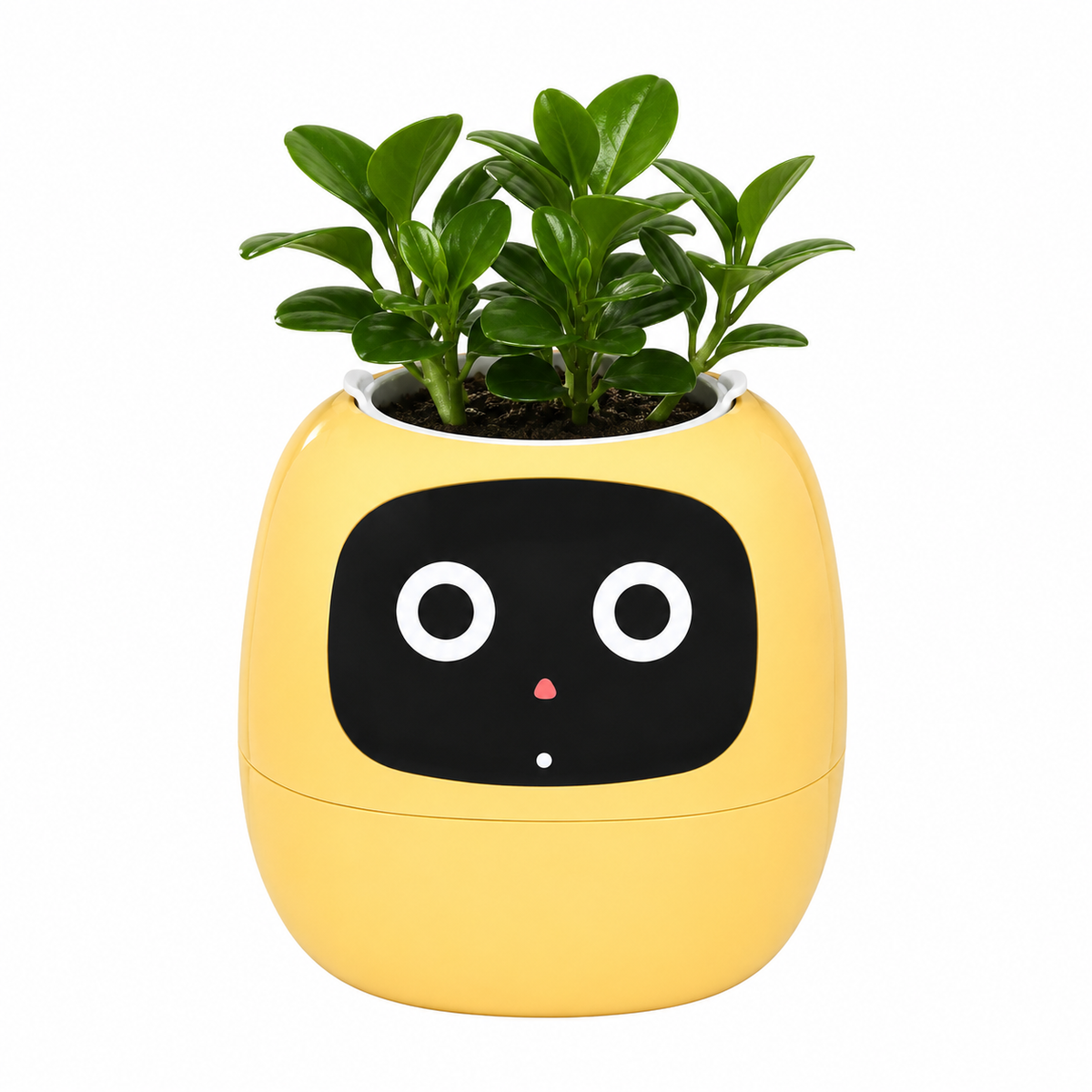 Floriv Smart Interactive Desk Plant Pot Caelvorne