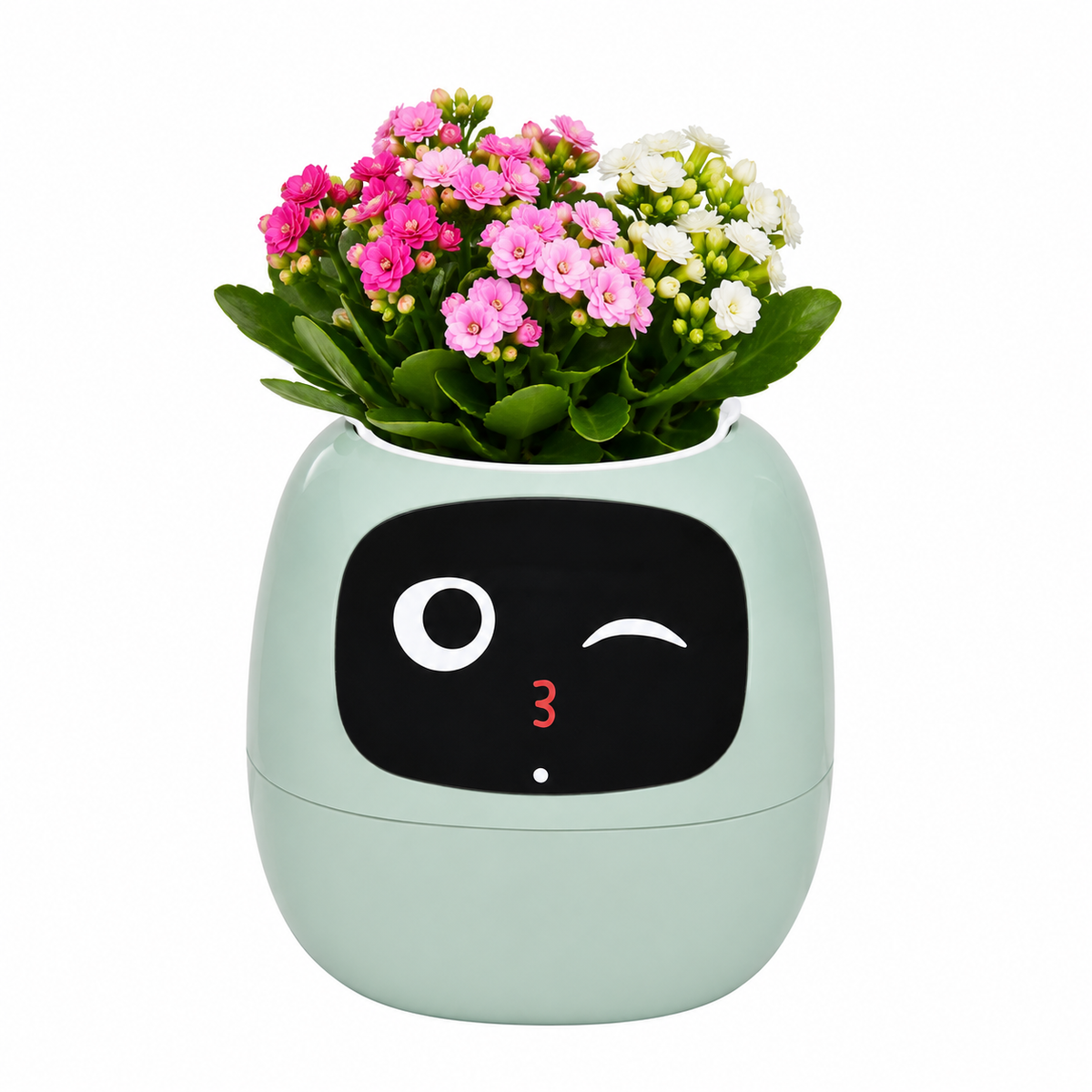 Floriv Smart Interactive Desk Plant Pot Caelvorne