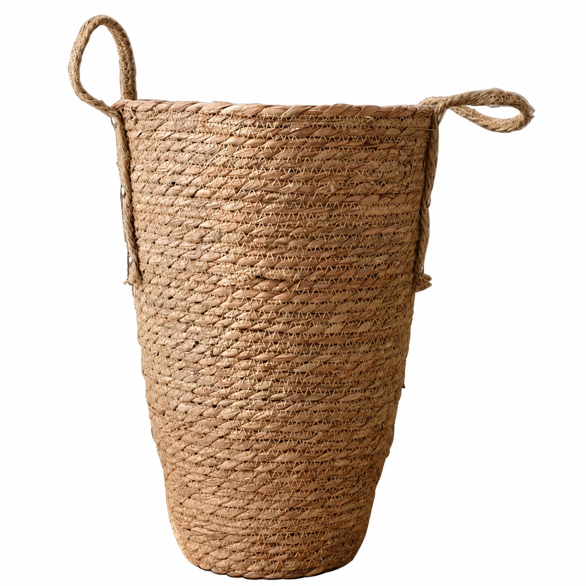 Folvia Tall Handled Basket Planter Caelvorne