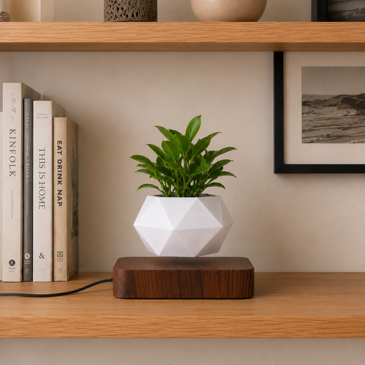 Gravo Floating Magnetic Desk Plant Pot Caelvorne