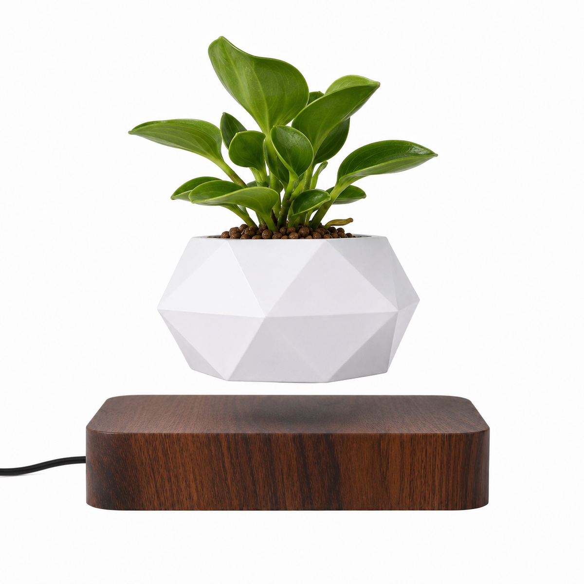 Gravo Floating Magnetic Desk Plant Pot Caelvorne