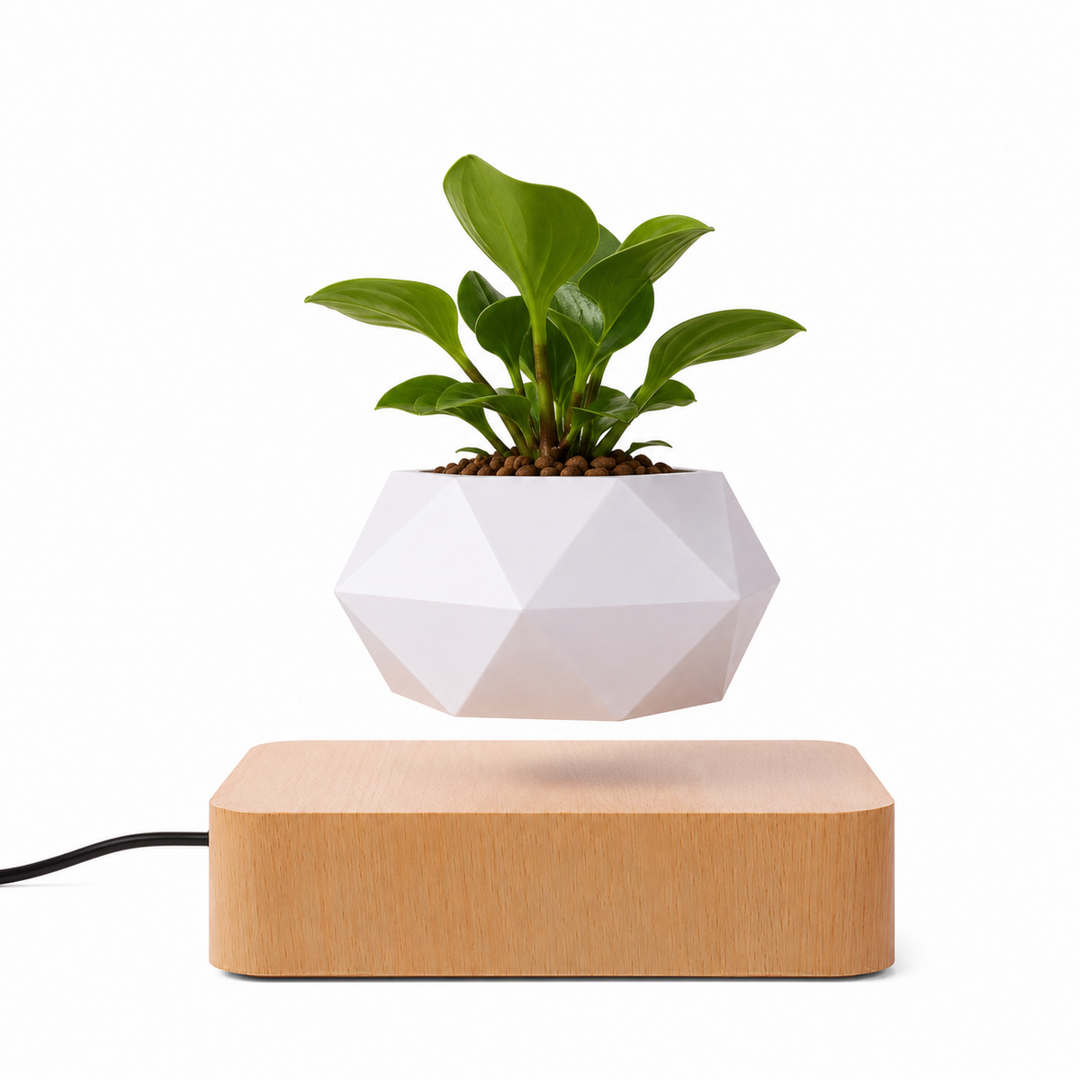 Gravo Floating Magnetic Desk Plant Pot Caelvorne
