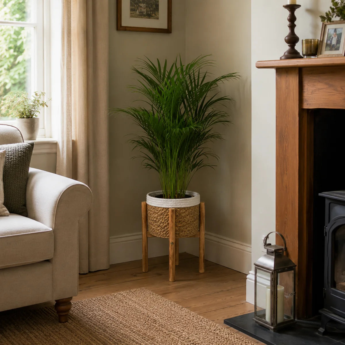Kervia Woven Raised Indoor Basket Planter Caelvorne