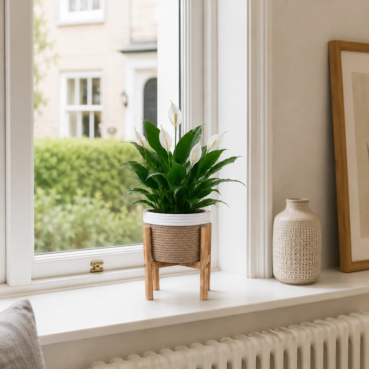 Kervia Woven Raised Indoor Basket Planter Caelvorne
