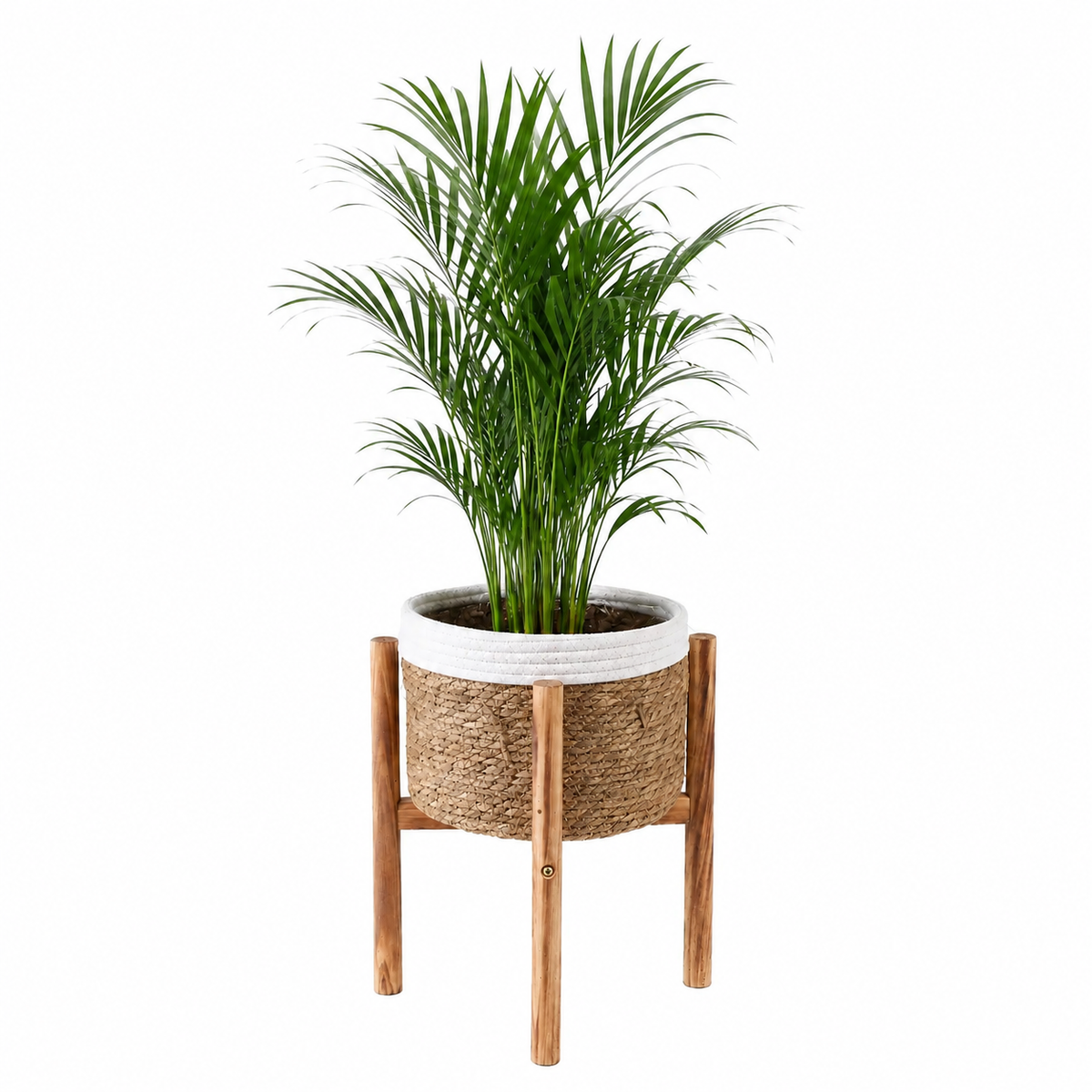 Kervia Woven Raised Indoor Basket Planter Caelvorne