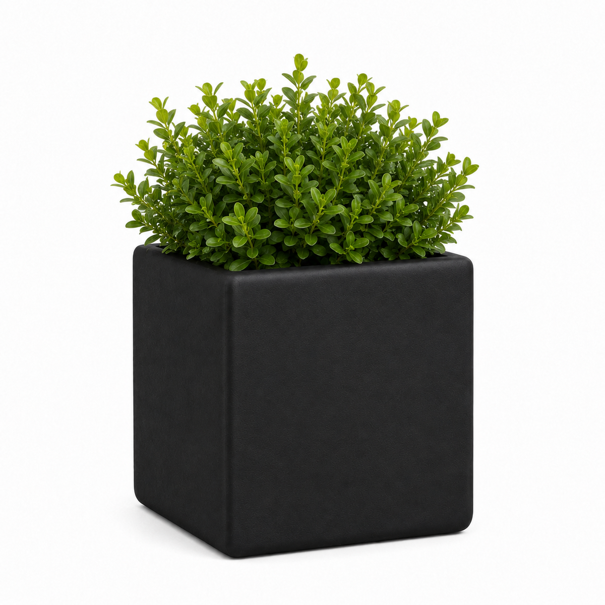 Kubivo Nordic Minimalist Plant Pot Caelvorne