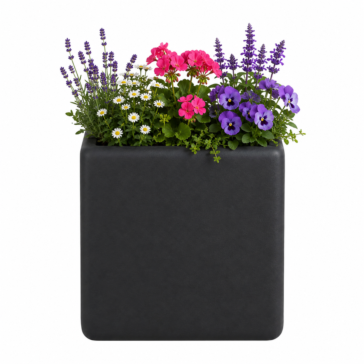 Kubivo Nordic Minimalist Plant Pot Caelvorne