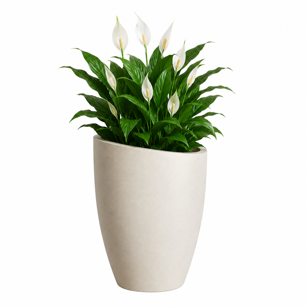 Slanto Angled Rim Tall Plant Pot Caelvorne