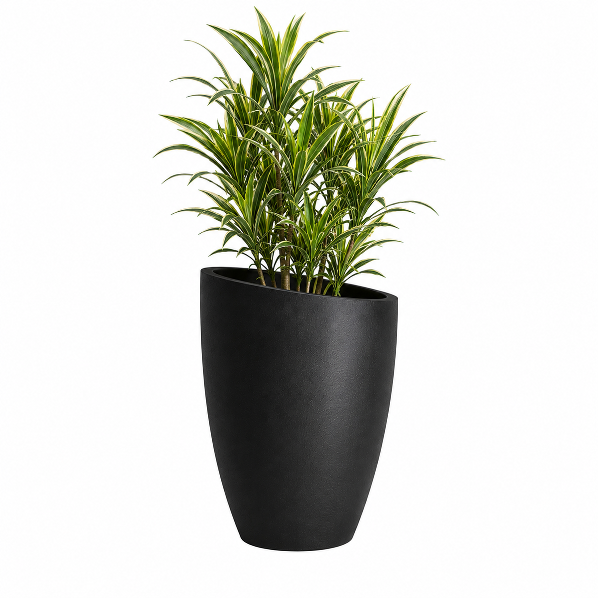 Slanto Angled Rim Tall Plant Pot Caelvorne