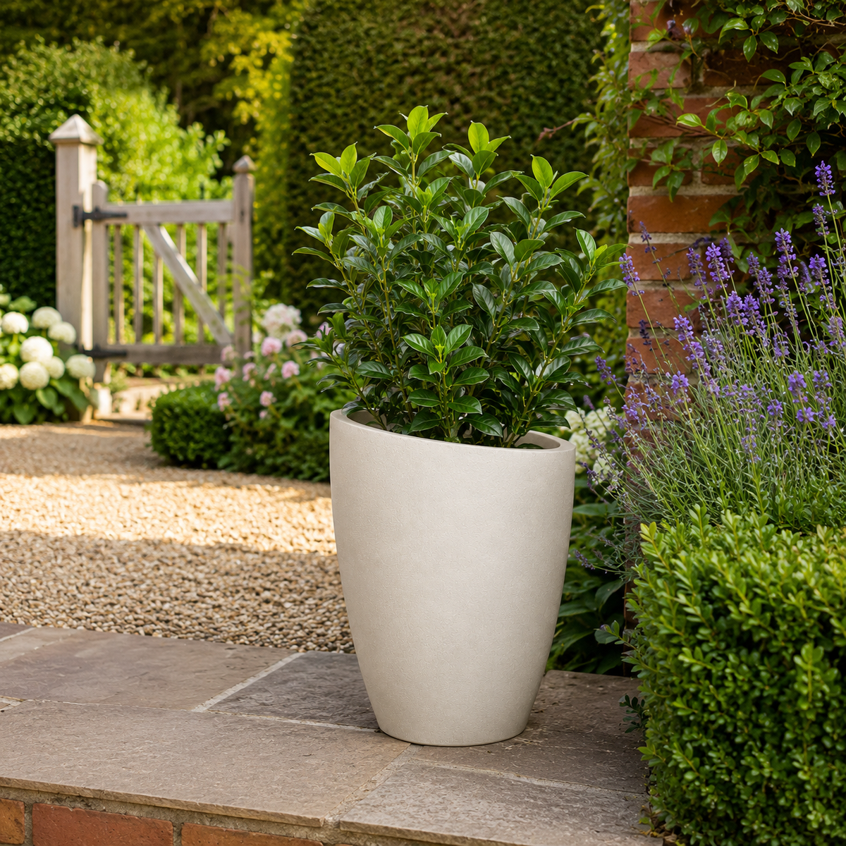 Slanto Angled Rim Tall Plant Pot Caelvorne