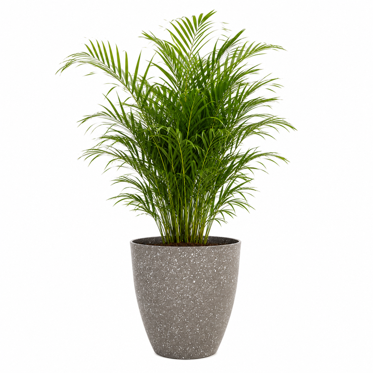 Terrav Frosted Stone Effect Plant Pot Caelvorne