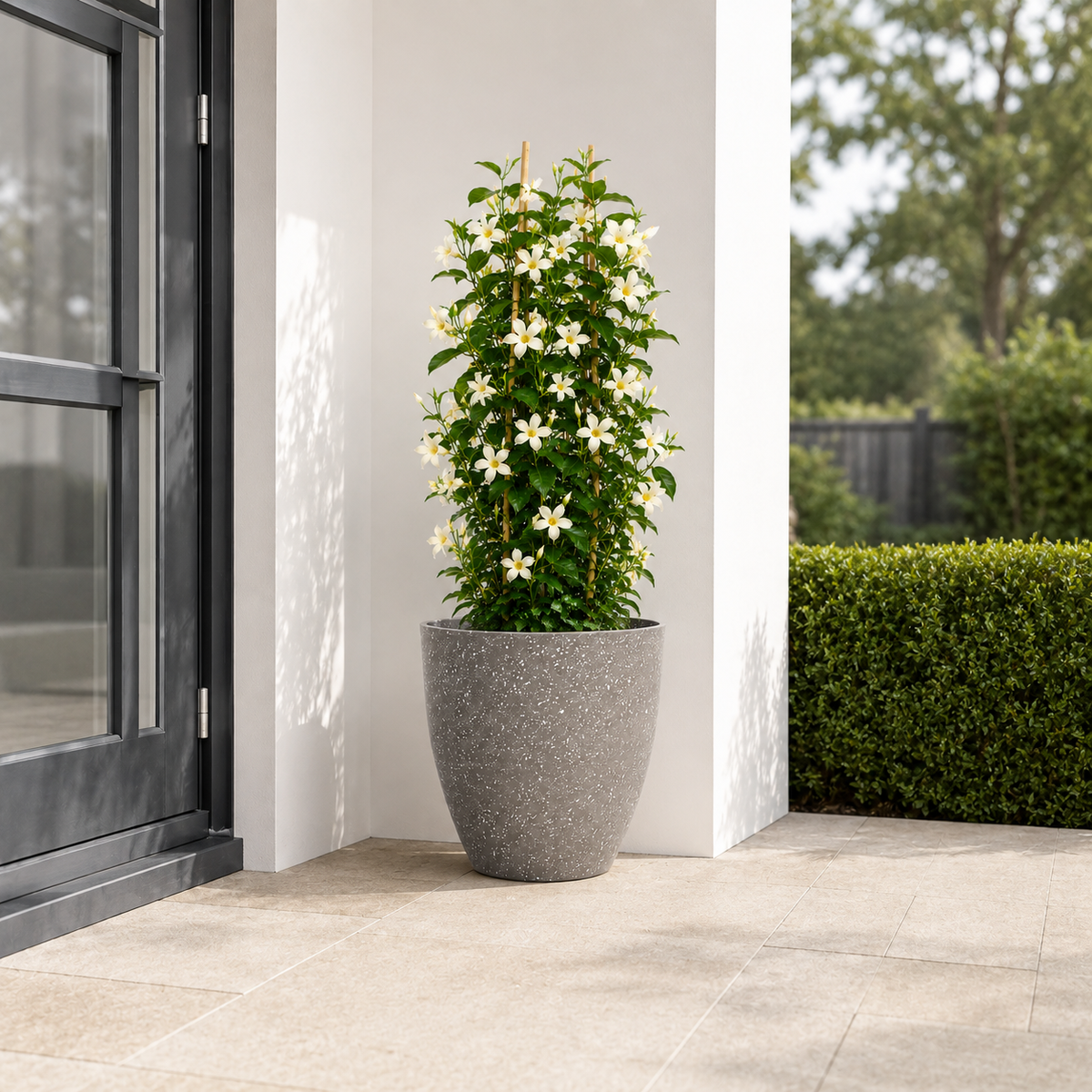Terrav Frosted Stone Effect Plant Pot Caelvorne