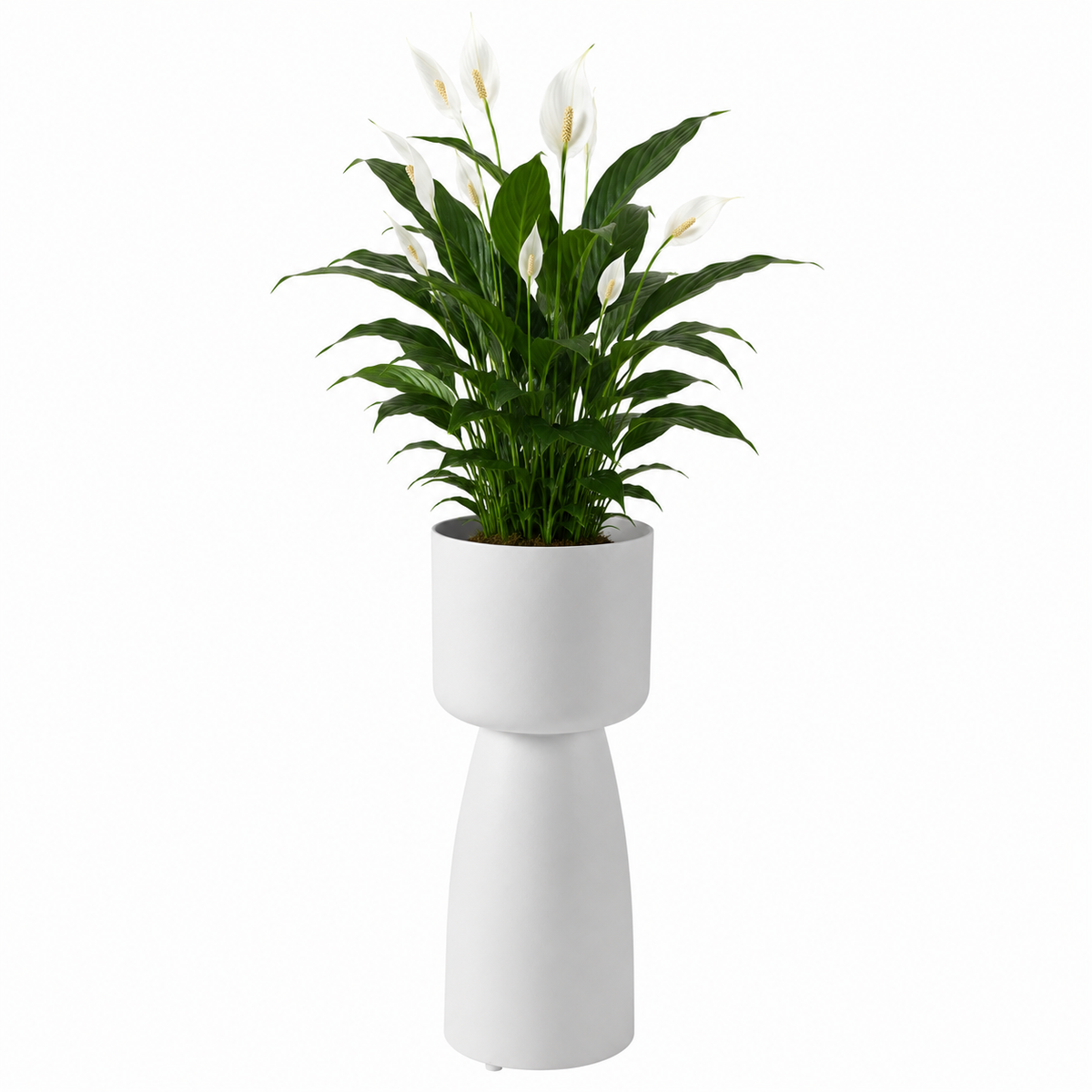 Varkos Hourglass Floor Plant Pot Caelvorne