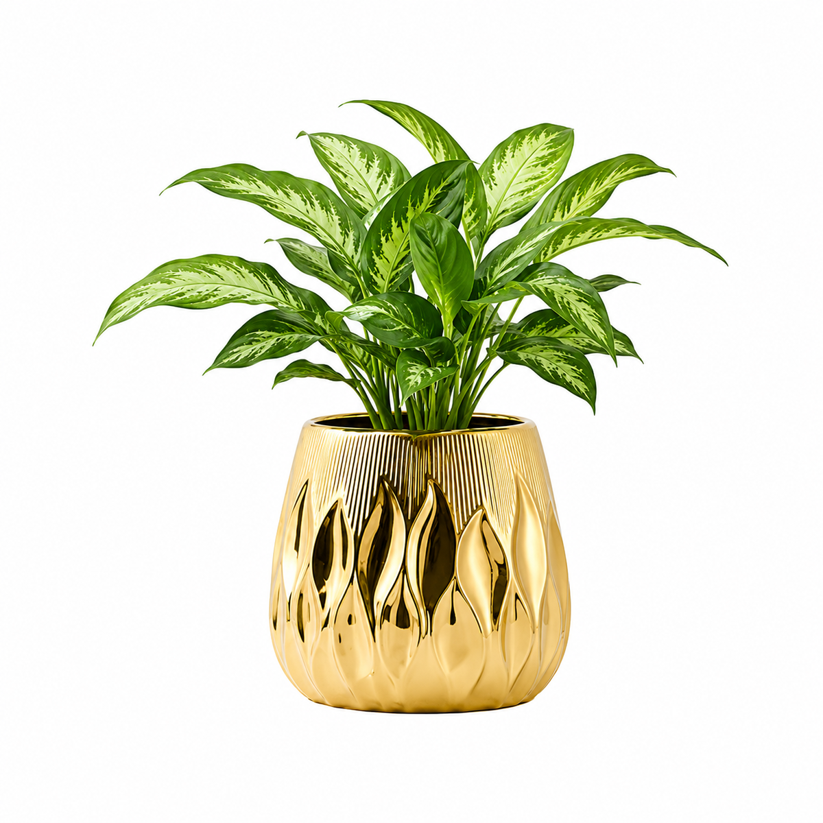Veslia Gold Flame Plant Pot Caelvorne