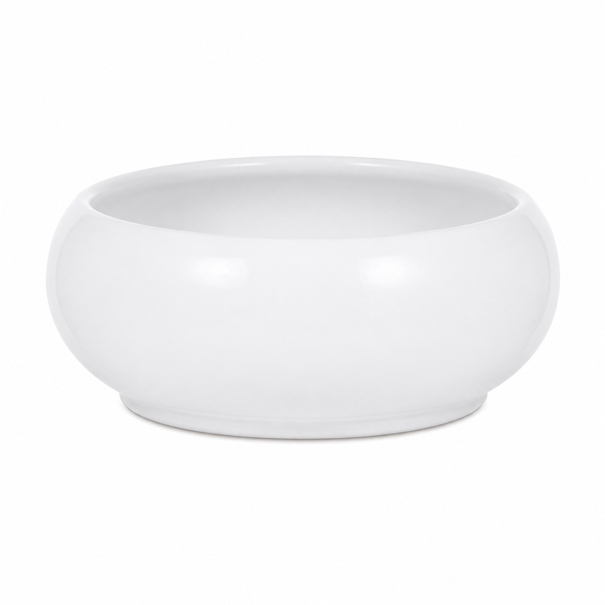 Vurita Round Hydroponic Bowl Plant Pot Caelvorne