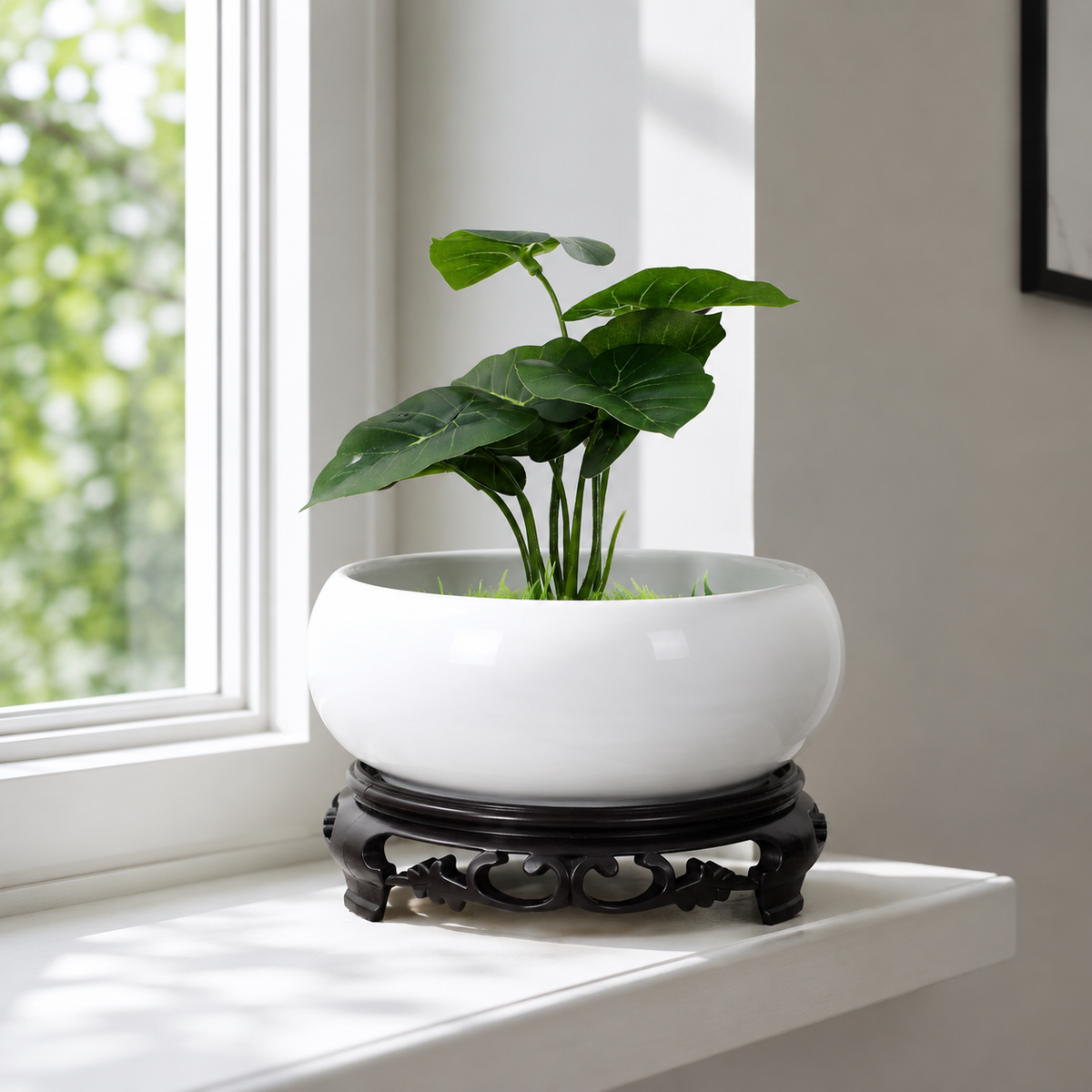 Vurita Round Hydroponic Bowl Plant Pot Caelvorne